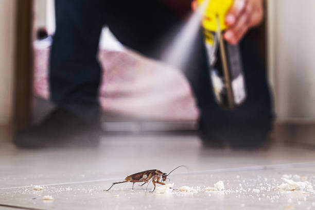 Insect Control in Somers Point, NJ